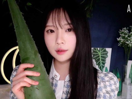 ASMR(Sub✔) 沉睡芦荟皮具店