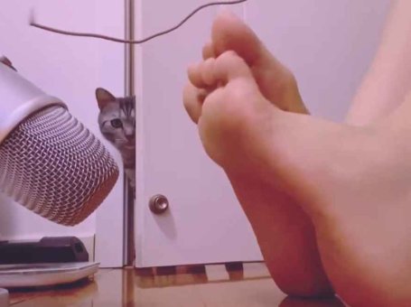 ASMR 足控福利 粘地板的声音 摩擦脚部